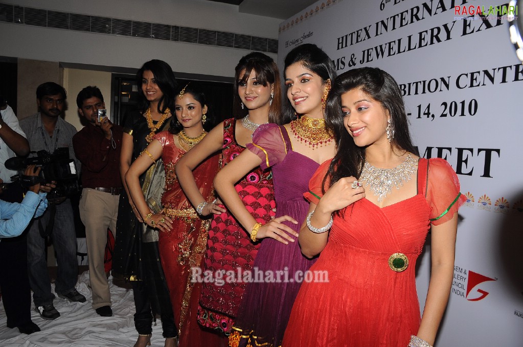 HITEX International Gems & Jewellery Expo 2010 (Gallery 2)