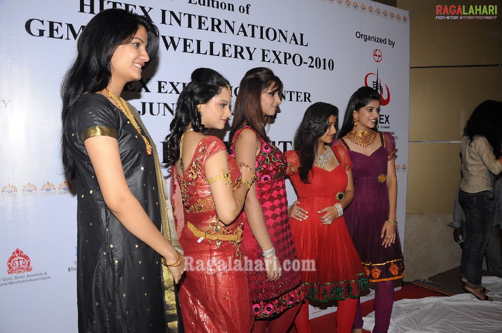 HITEX International Gems & Jewellery Expo 2010 (Gallery 2)