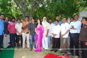 Naga Chaitanya-Tamanna Film Muhurat