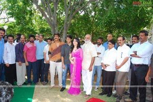 Naga Chaitanya-Tamanna Film Muhurat