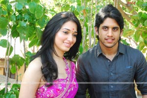 Naga Chaitanya-Tamanna Film Muhurat