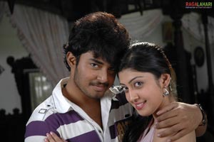 Taneesh, Pranitha