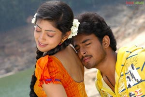 Taneesh, Pranitha