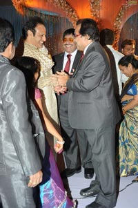 Ambica Krishna Son Hanuma-Lavanya Wedding Reception