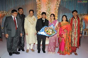 Ambica Krishna Son Hanuma-Lavanya Wedding Reception