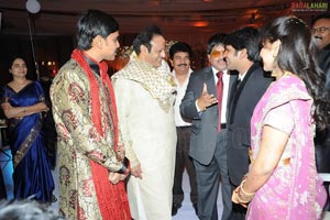 Ambica Krishna Son Hanuma-Lavanya Wedding Reception