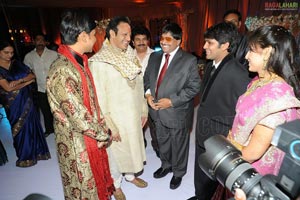 Ambica Krishna Son Hanuma-Lavanya Wedding Reception