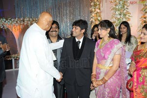 Ambica Krishna Son Hanuma-Lavanya Wedding Reception