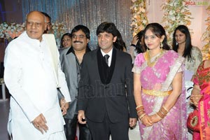 Ambica Krishna Son Hanuma-Lavanya Wedding Reception