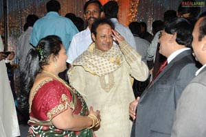 Ambica Krishna Son Hanuma-Lavanya Wedding Reception