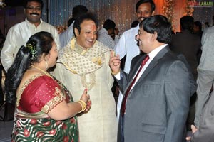 Ambica Krishna Son Hanuma-Lavanya Wedding Reception