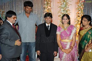 Ambica Krishna Son Hanuma-Lavanya Wedding Reception