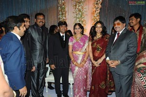 Ambica Krishna Son Hanuma-Lavanya Wedding Reception