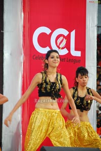 Visakhapatnam Celebrity Cricket League 2011