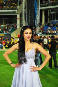 Visakhapatnam Celebrity Cricket League 2011