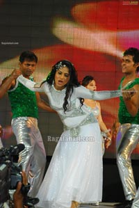 Visakhapatnam Celebrity Cricket League 2011