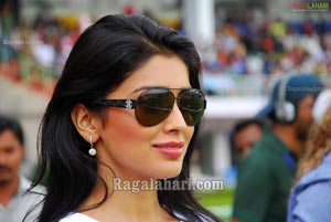 Visakhapatnam Celebrity Cricket League 2011