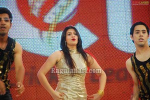 Visakhapatnam Celebrity Cricket League 2011