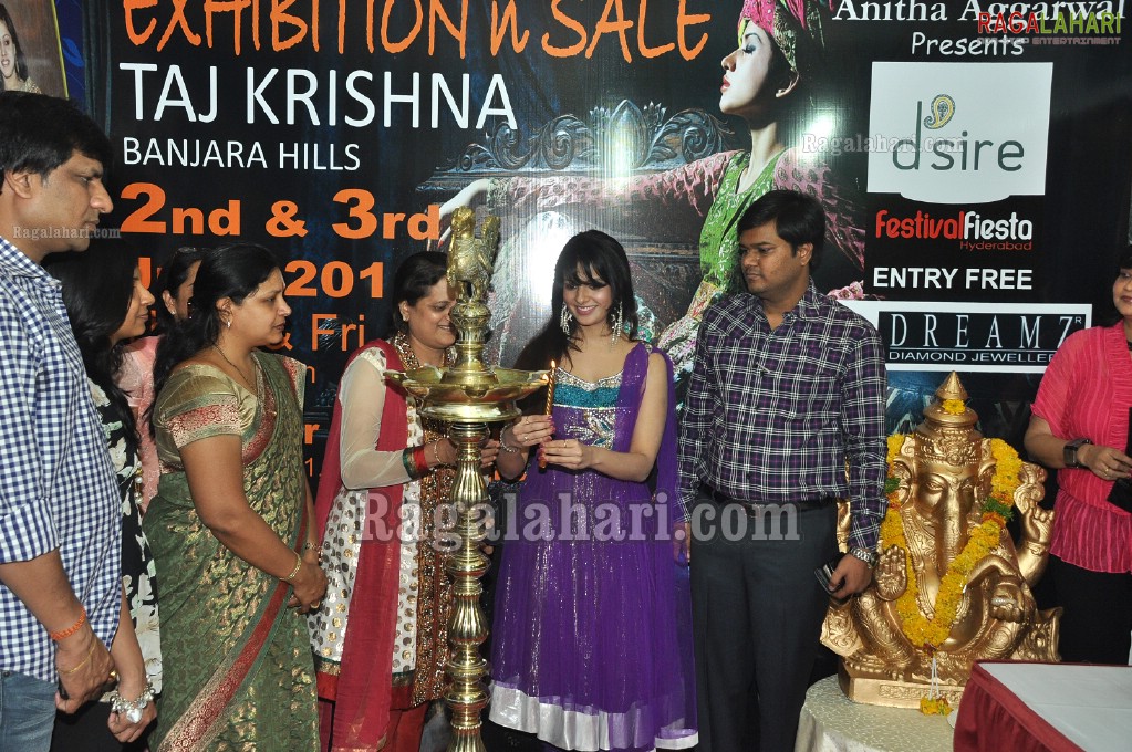 Saloni Launches D'sire Exhibition at Taj Krishna