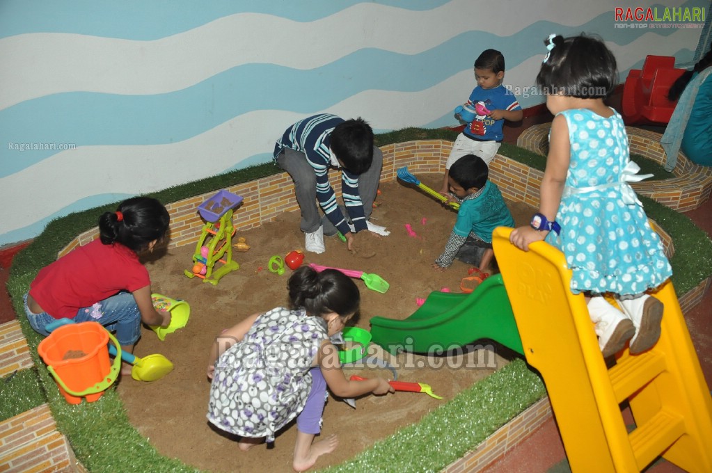 Kangaroo Kids Pre School Launch at Himayatnagar