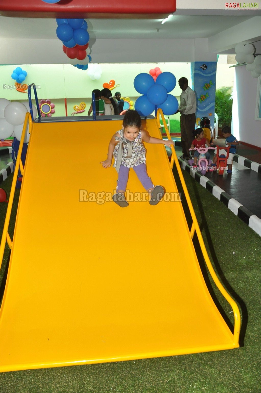 Kangaroo Kids Pre School Launch at Himayatnagar