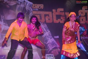 Vaadu Veedu Audio Release