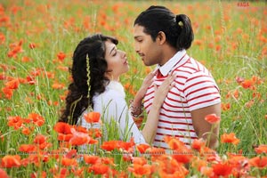 Allu Arjun, Tamanna