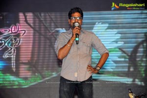 Hanu Raghavapudi's Andala Rakshasi Audio Release Function