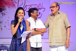 Hanu Raghavapudi's Andala Rakshasi Audio Release Function