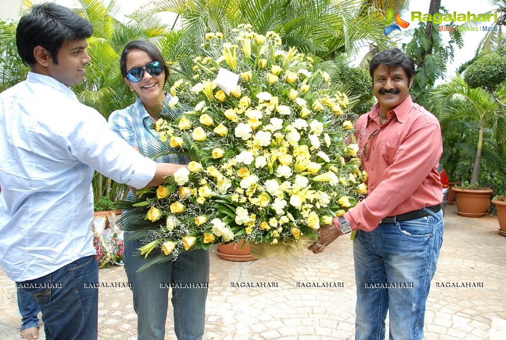 Balakrishna 2012 Birthday Celebrations