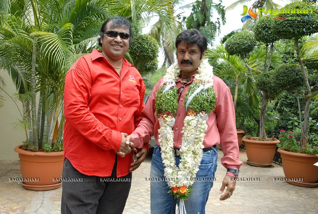 Balakrishna 2012 Birthday Celebrations