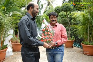 Natasimha Nandamuri Balakrishna's 2012 Birthday Function