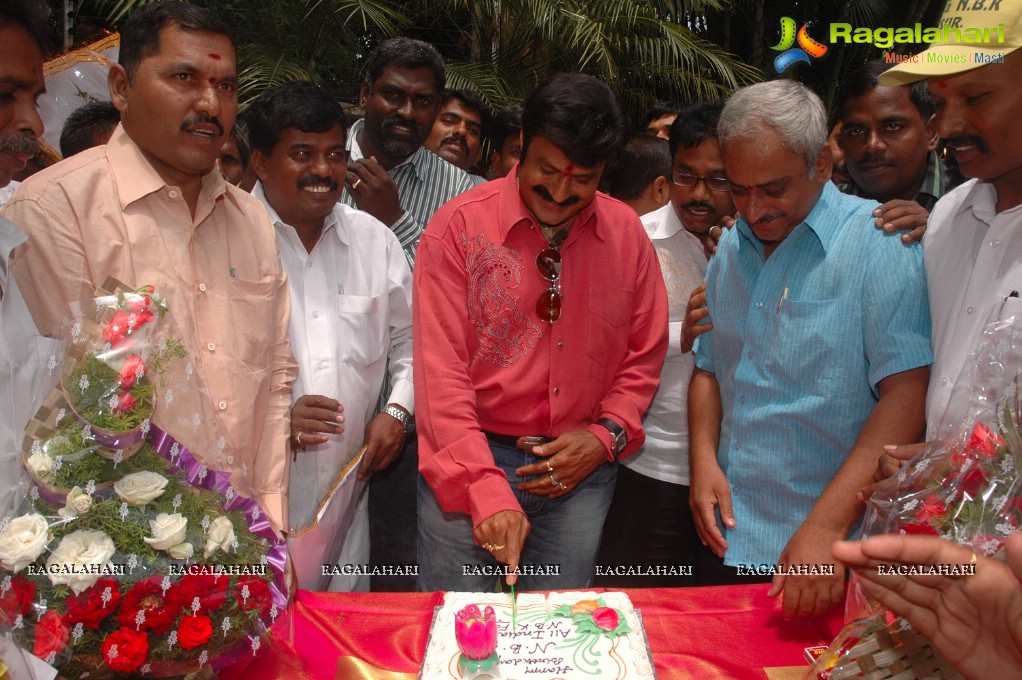 Balakrishna 2012 Birthday Celebrations