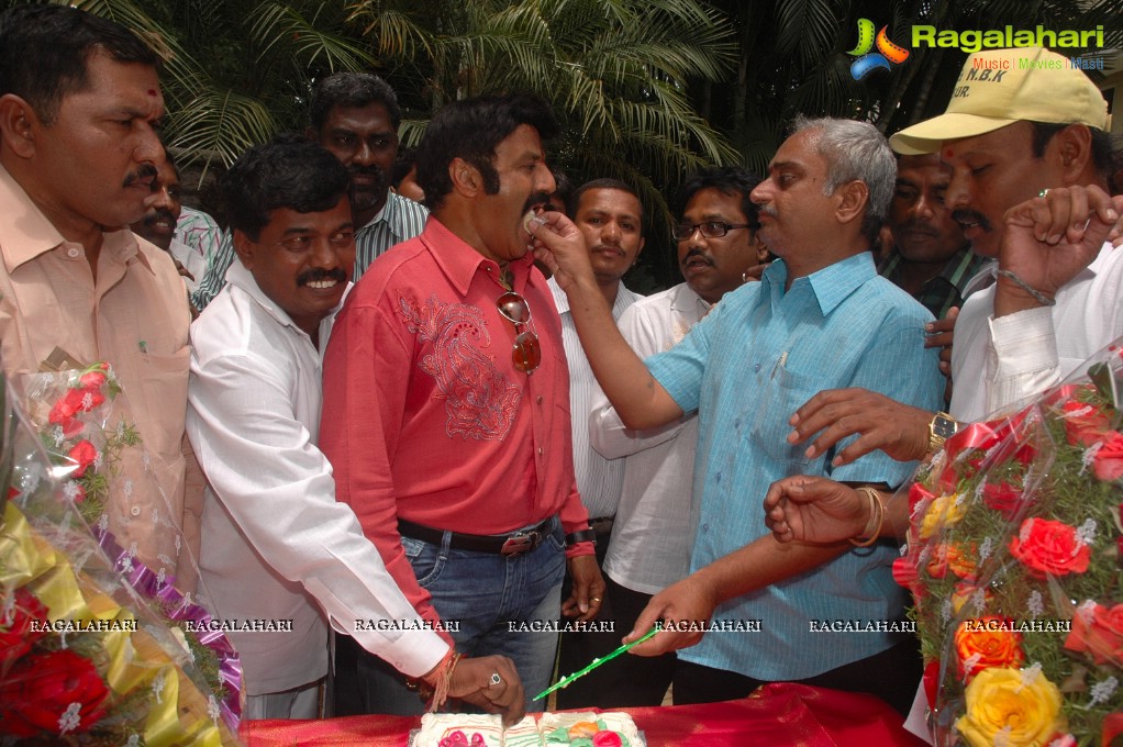 Balakrishna 2012 Birthday Celebrations