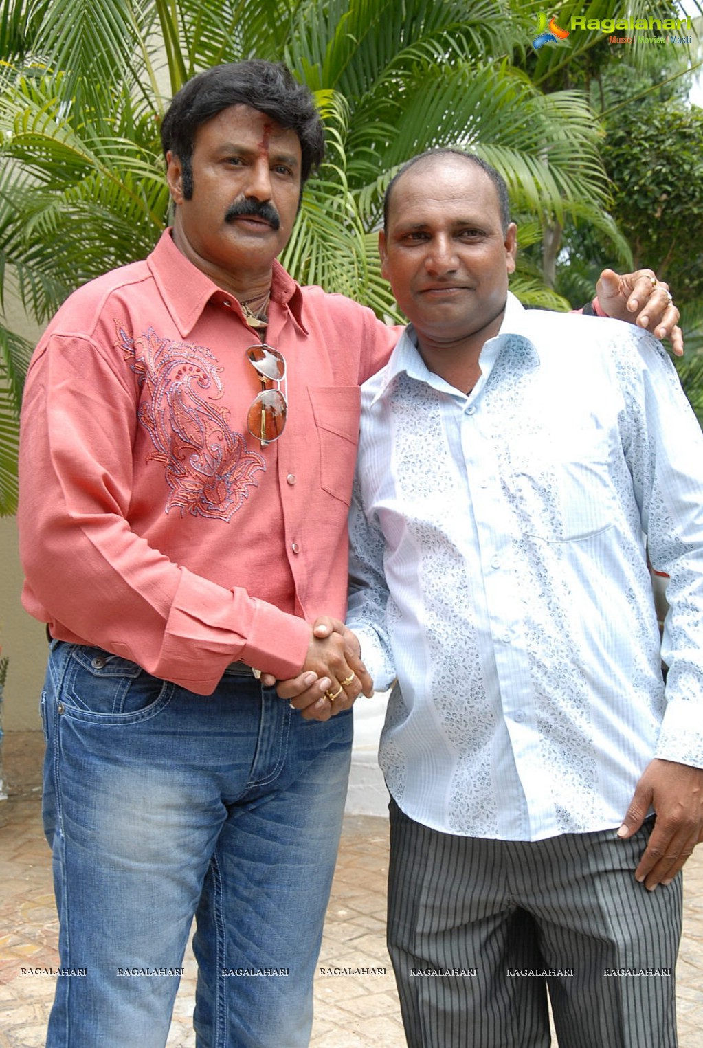 Balakrishna 2012 Birthday Celebrations