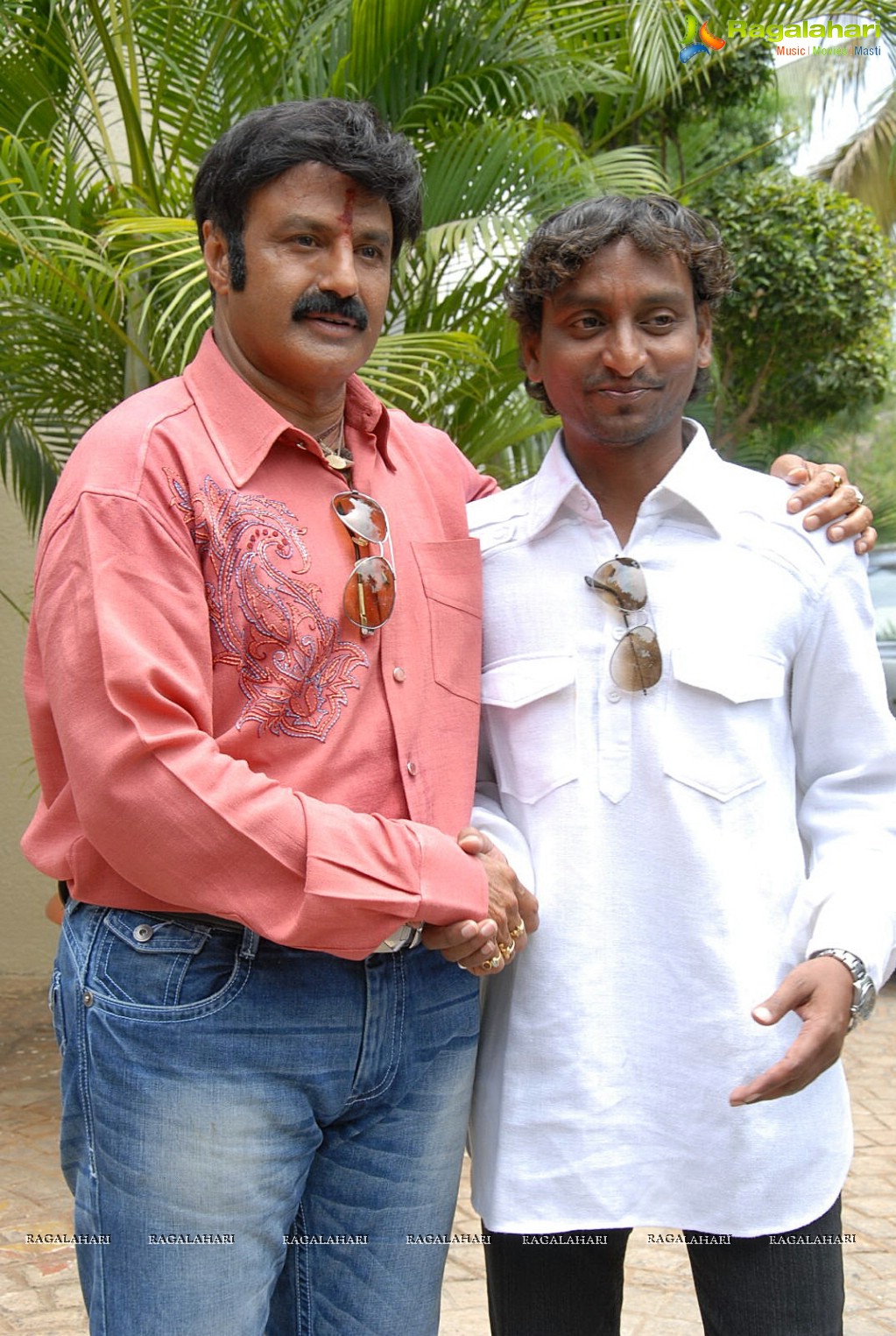 Balakrishna 2012 Birthday Celebrations