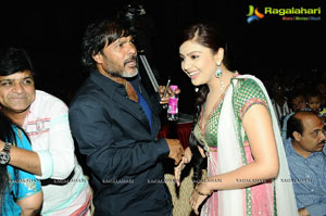 Allu Arjun's Julayi Audio Release Photo Coverage