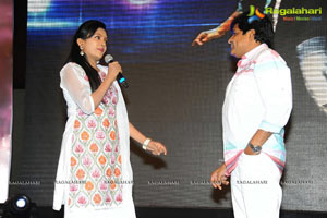 Allu Arjun's Julayi Audio Release Photo Coverage