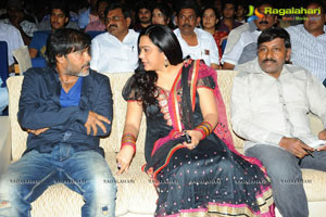 Allu Arjun's Julayi Audio Release Photo Coverage