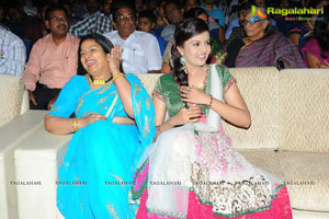 Allu Arjun's Julayi Audio Release Photo Coverage