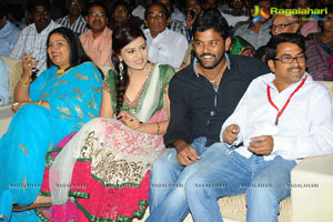 Allu Arjun's Julayi Audio Release Photo Coverage