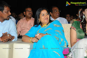 Allu Arjun's Julayi Audio Release Photo Coverage