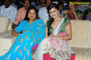 Allu Arjun's Julayi Audio Release Photo Coverage