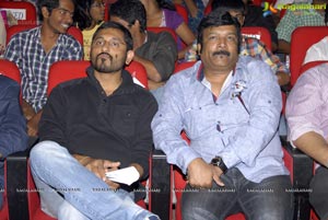 Devudu Chesina Manushulu Audio Release Function