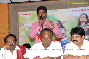 Jollyga Enjoy Cheddam Audio Release Function Photos