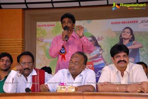 Jollyga Enjoy Cheddam Audio Release Function Photos