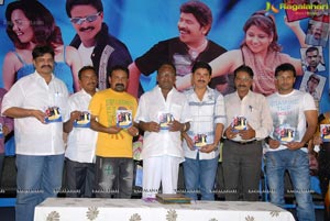 Paandavulu Audio Release Function