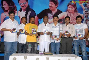 Paandavulu Audio Release Function