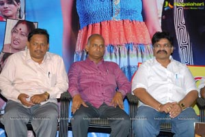 Paandavulu Audio Release Function