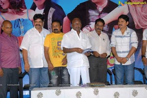 Paandavulu Audio Release Function